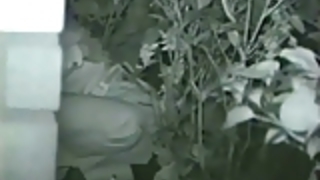 夜のセックス公園のベンチ 夜のセックス公園のベンチ