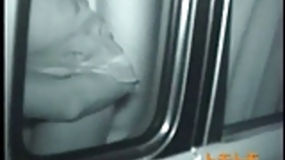 ハッピーカップルはクソ車を楽しんだ ハッピーカップルはクソ車を楽しんだ