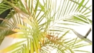 JAPAN新しいスタイル:)) JAPAN新しいスタイル:))