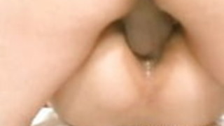 こんにちは、日本のクーガー、コンノ・ジュンコ こんにちは、日本のクーガー、コンノ・ジュンコ