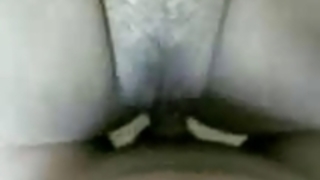 メイド自家製アジアハビー メイド自家製アジアハビー