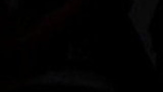 ジャバニーズ・ティティ・マリア・ヒダカ#2 ジャバニーズ・ティティ・マリア・ヒダカ#2