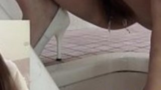 尿意を抜く日本のスカンク 尿意を抜く日本のスカンク