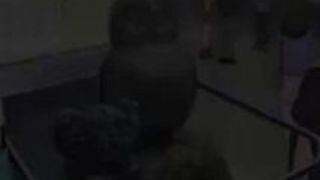 エロアニメ チャ ファン 男 秘密 エロアニメ チャ ファン 男 秘密