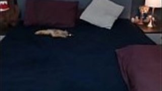 日本のアマチュア・ベイビー・オナニー - http://xShow.pwで彼女を見つけました 日本のアマチュア・ベイビー・オナニー - http://xShow.pwで彼女を見つけました