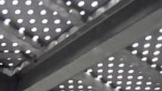 日本のかわい子ちゃん 日本のかわい子ちゃん