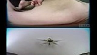 JAV VR ZENRA via Rika Mariエロティックマッサージ JAV VR ZENRA via Rika Mariエロティックマッサージ