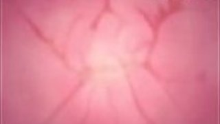 アニメ3Dファンタジー - アニメ3Dファンタジー -