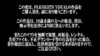 日本ツバメ 日本ツバメ