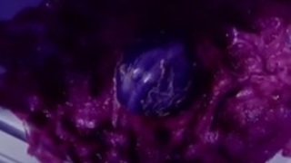 ひとみとカリーナとの乳酸菌 ひとみとカリーナとの乳酸菌