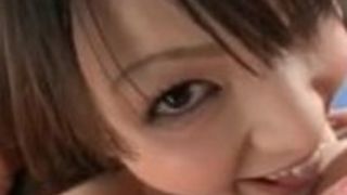 日本人ベイブ・スッキー・コック・キャンディー 日本人ベイブ・スッキー・コック・キャンディー