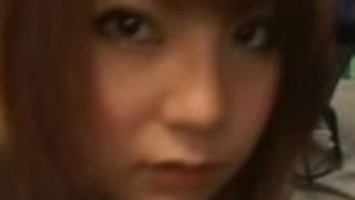 パルドリル、日本人ひよこ パルドリル、日本人ひよこ