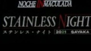 ステンレスナイト02 ステンレスナイト02