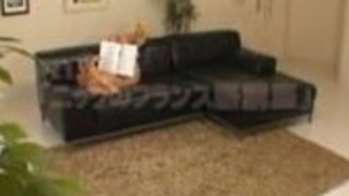 奇妙なセックスをすることスーパーホット日本の女の子 奇妙なセックスをすることスーパーホット日本の女の子