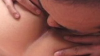 日本のカラスはくたくたに疲れました 日本のカラスはくたくたに疲れました