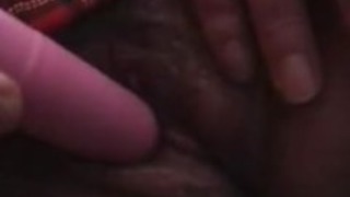 路上で公に猫を再生します。 路上で公に猫を再生します。