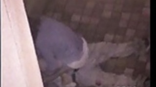 屋外セックスは完全に露出 屋外セックスは完全に露出