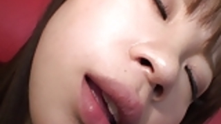 日本の猫の演劇19 日本の猫の演劇19