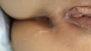 タイのストライプド・アンド・イ・ドンの男性が彼女の猫を食べました タイのストライプド・アンド・イ・ドンの男性が彼女の猫を食べました