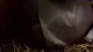 風間ゆみ 風間ゆみ