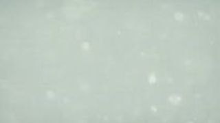 エロアニメ フェラ 手コキ ぶっかけ CG エロアニメ フェラ 手コキ ぶっかけ CG