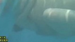 日本のママと息子は、水のゲームでリンクします。LinkFull：http://q.gs/E5g72