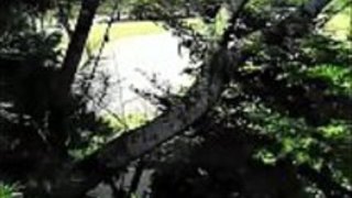 看護スタッフの日本人アマチュアSEX 看護スタッフの日本人アマチュアSEX