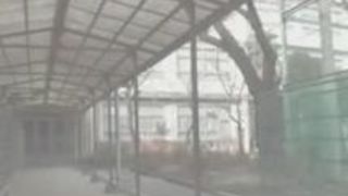 ブルマ 足コキ ぶっかけ 尻 勃起 ブルマ 足コキ ぶっかけ 尻 勃起