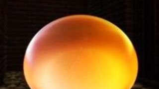 エロアニメ 美少女 変態 拘束 ふたなり エロアニメ 美少女 変態 拘束 ふたなり