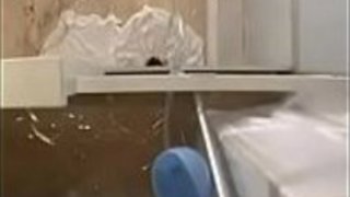 日本の奴隷は束縛で食べる 日本の奴隷は束縛で食べる