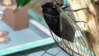 エロアニメ 美少女 コスプレ 日焼け アニメコスプレ エロアニメ 美少女 コスプレ 日焼け アニメコスプレ