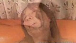 日本の熟女2 日本の熟女2