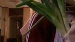 Kakek vs Cucu - ペラワット・ナカル・カナー・オーボリー Kakek vs Cucu - ペラワット・ナカル・カナー・オーボリー