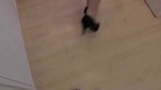 無修正日本の足のストッキング妻とパンティーストッキングの足の事件 無修正日本の足のストッキング妻とパンティーストッキングの足の事件