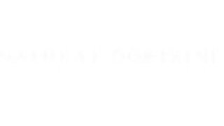 日本の才能あるプロデューサー 日本の才能あるプロデューサー