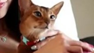 日本のマリカは、黒いコックのポルノで殴られたhotcamgirlsvideos.comでもっと 日本のマリカは、黒いコックのポルノで殴られたhotcamgirlsvideos.comでもっと