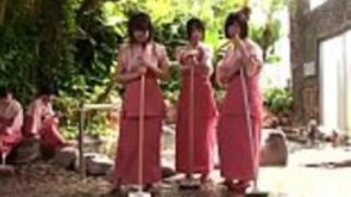 日本のベイビー・シェア・コック 日本のベイビー・シェア・コック