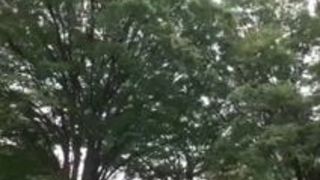 中出し 初美沙希 生ハメ 初 テク 中出し 初美沙希 生ハメ 初 テク