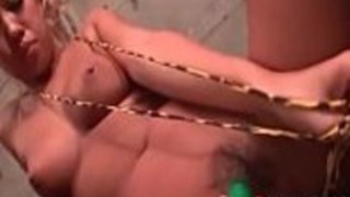 ルナアンザイはおもちゃを買って、セクシーなフェラチオを彼女達に与える ルナアンザイはおもちゃを買って、セクシーなフェラチオを彼女達に与える