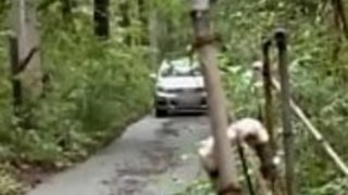 アジアの日本人熟女は、夫によってこの男に迷子になった - Pt2 On FilfCam.com アジアの日本人熟女は、夫によってこの男に迷子になった - Pt2 On FilfCam.com