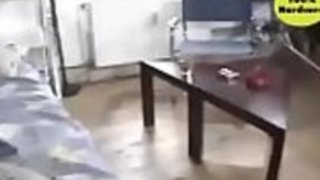 スウェーデンのLinda Thoren Sex Adventures in Japan スウェーデンのLinda Thoren Sex Adventures in Japan