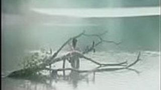 日本人女性忍者 日本人女性忍者