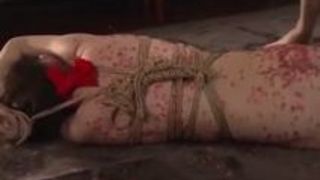 人妻 ギャル SM 変態 四十路 人妻 ギャル SM 変態 四十路