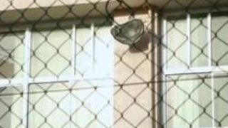 レイプ 巨乳 輪姦 三上悠亜 女教師 レイプ 巨乳 輪姦 三上悠亜 女教師