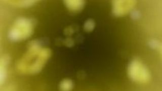 エロアニメ 勃起 エロアニメ 勃起