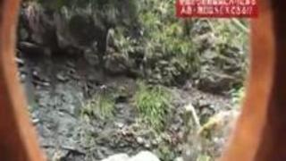 混浴温泉に来る熟女は本当にヤレるのか? 混浴温泉に来る熟女は本当にヤレるのか?