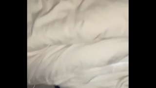 認証動画 認証動画