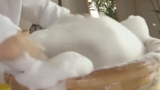 メンズエステで客の濃いザーメンを一滴残らず搾り取るマッサ嬢! メンズエステで客の濃いザーメンを一滴残らず搾り取るマッサ嬢!