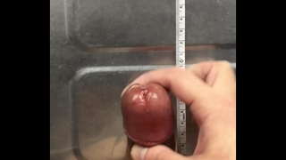 おちんちん167 おちんちん167