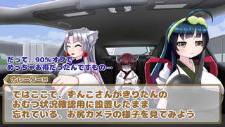 腹痛で人生が終わらないようにきりたんの失敗を反面教師にして学術的に啓発をする動画